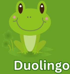 Download Duolingo to learn multiple languages